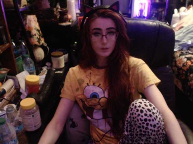 pussyxpaladin