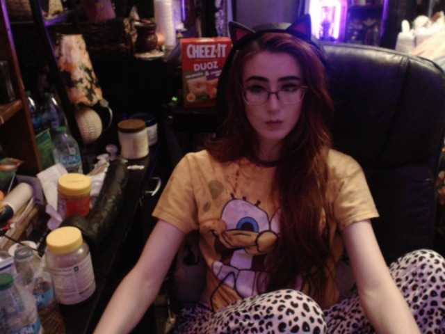 pussyxpaladin