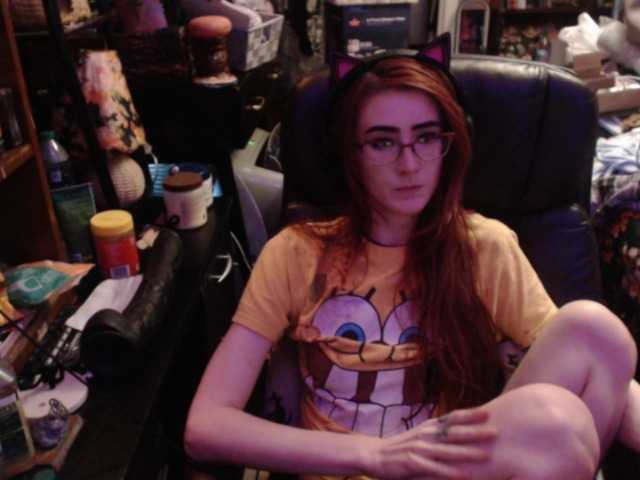 pussyxpaladin