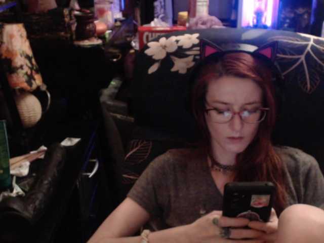 pussyxpaladin
