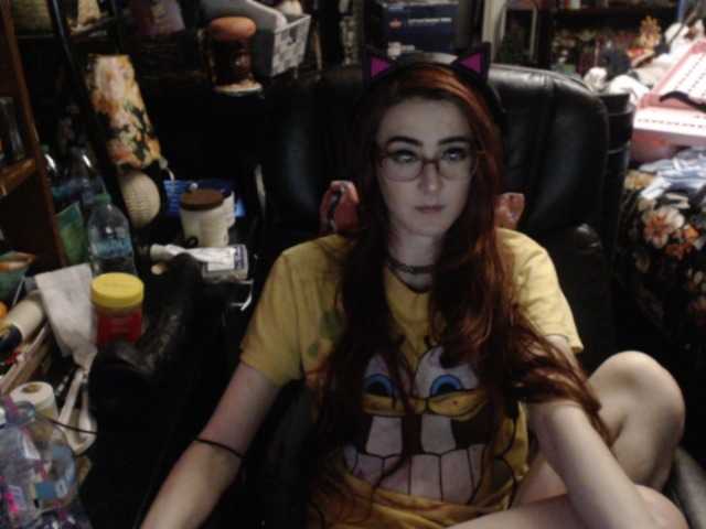 pussyxpaladin