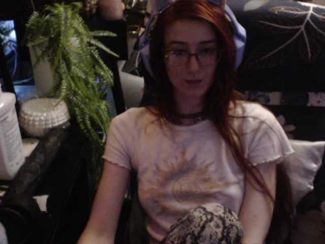 pussyxpaladin