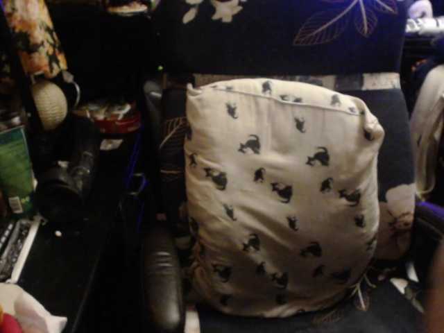 pussyxpaladin live cam on BongaCams