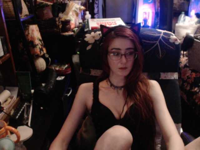 pussyxpaladin live webcam show