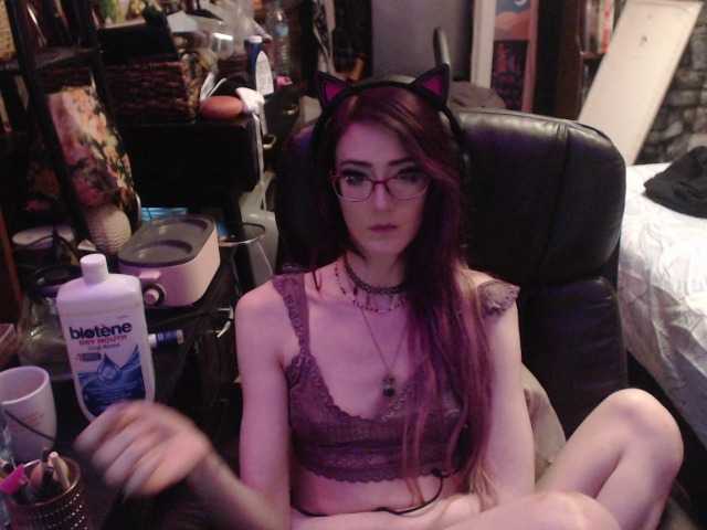 pussyxpaladin