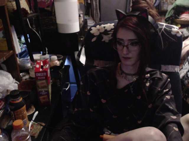 pussyxpaladin