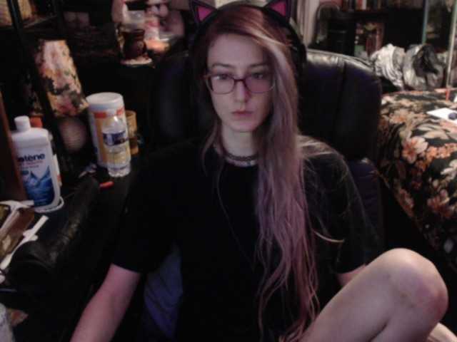 pussyxpaladin