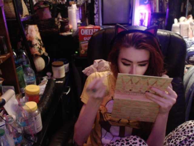 pussyxpaladin
