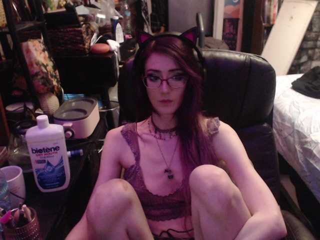 pussyxpaladin