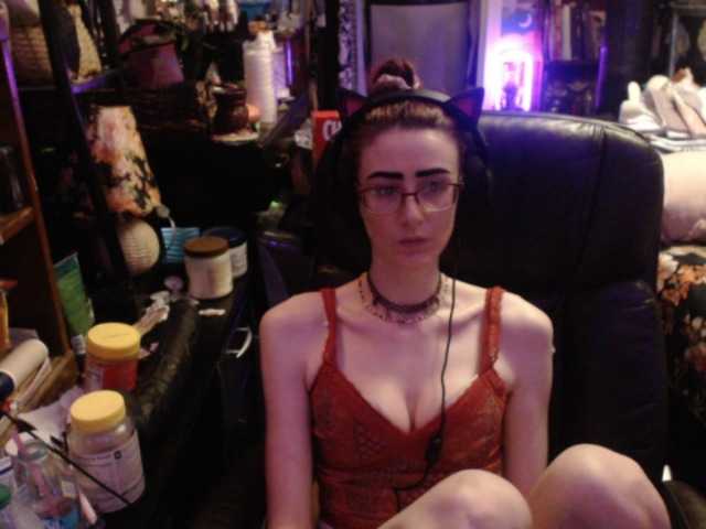 pussyxpaladin
