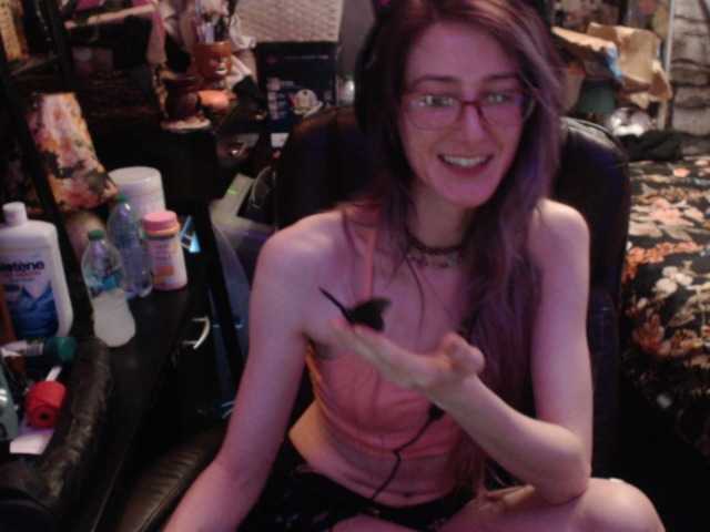 pussyxpaladin