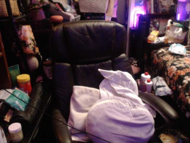 pussyxpaladin live cam