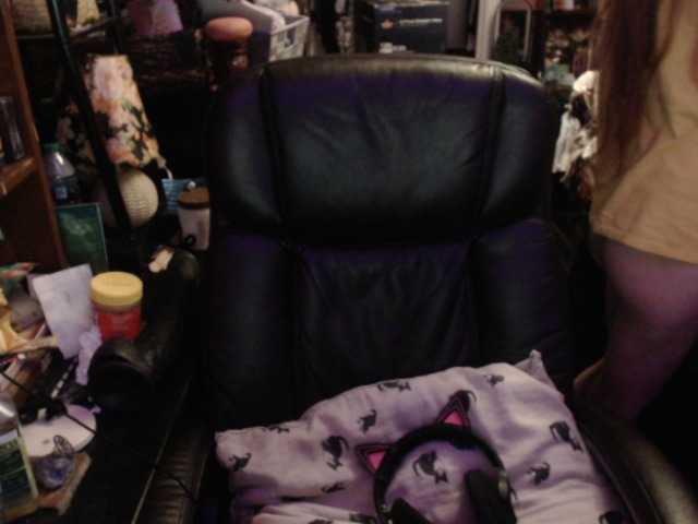 pussyxpaladin live webcam show