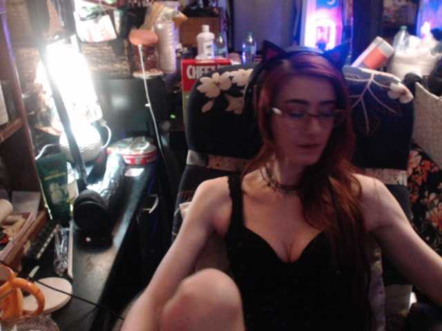 pussyxpaladin