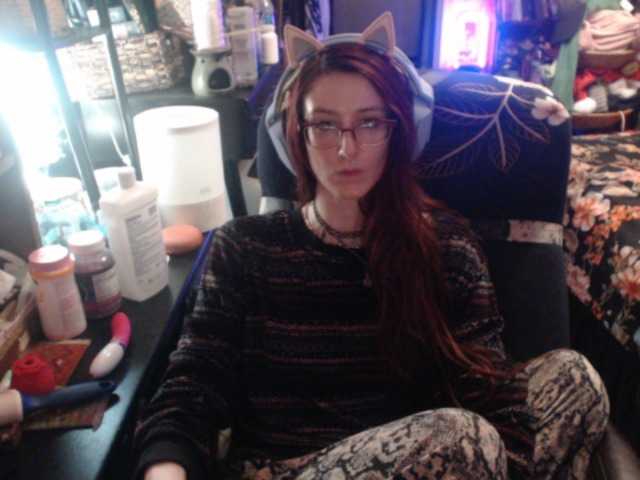 pussyxpaladin live cam