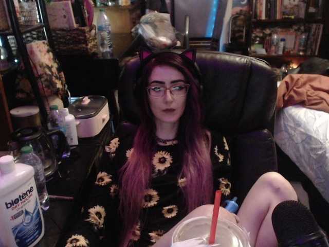 pussyxpaladin live cam on BongaCams