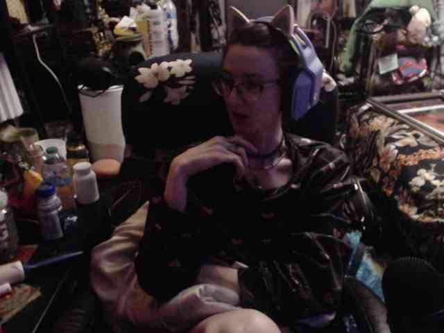 pussyxpaladin webcam