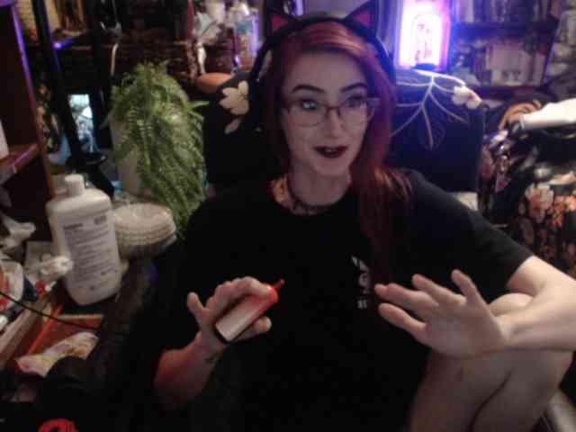 pussyxpaladin webcam