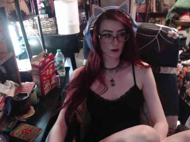 pussyxpaladin webcam