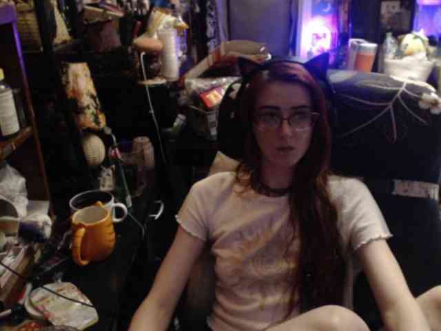 pussyxpaladin webcam