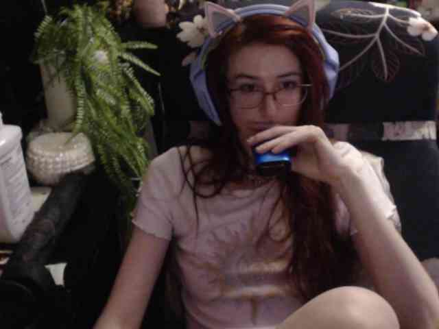 pussyxpaladin webcam