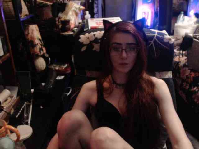 pussyxpaladin