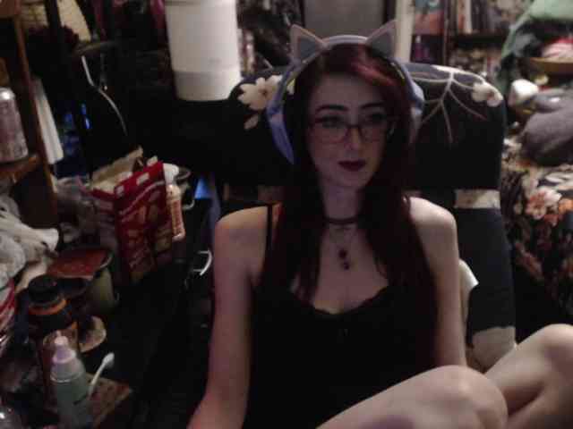 pussyxpaladin webcam