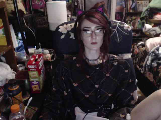 pussyxpaladin webcam