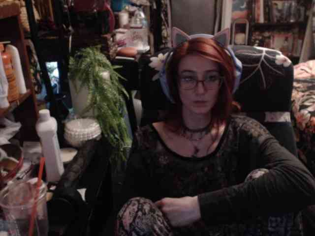 pussyxpaladin webcam