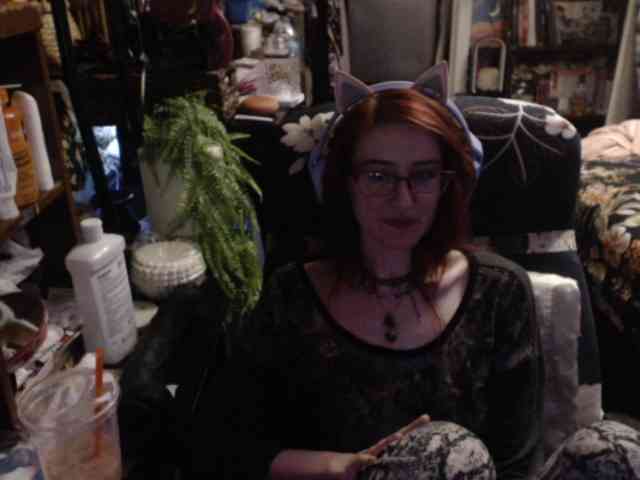 pussyxpaladin webcam