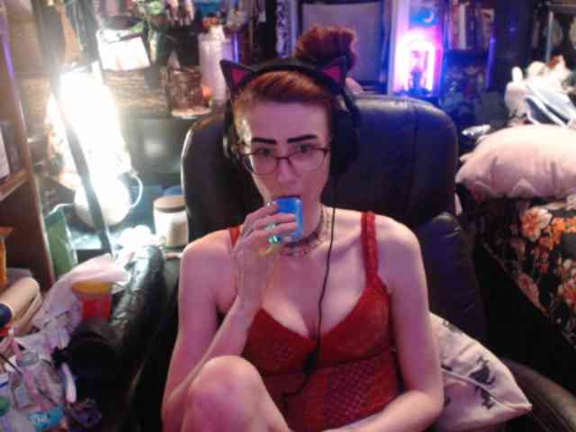 pussyxpaladin