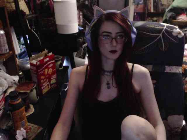 pussyxpaladin webcam