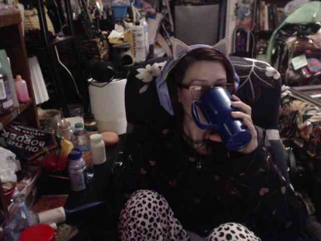 pussyxpaladin webcam
