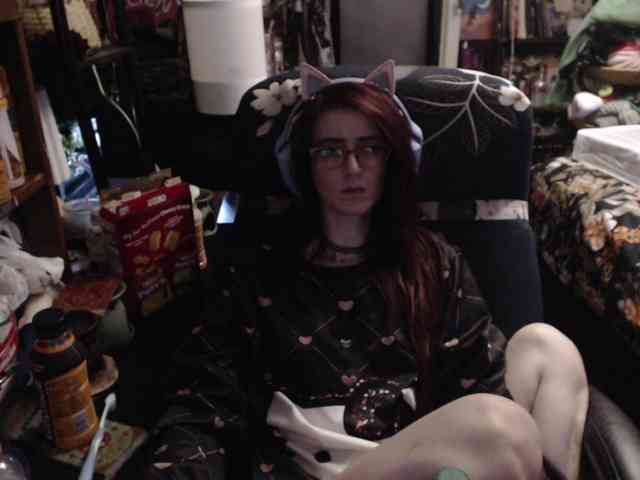 pussyxpaladin