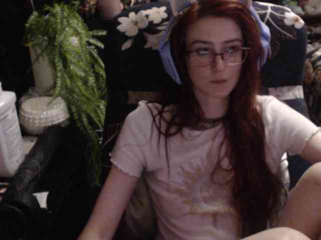pussyxpaladin webcam