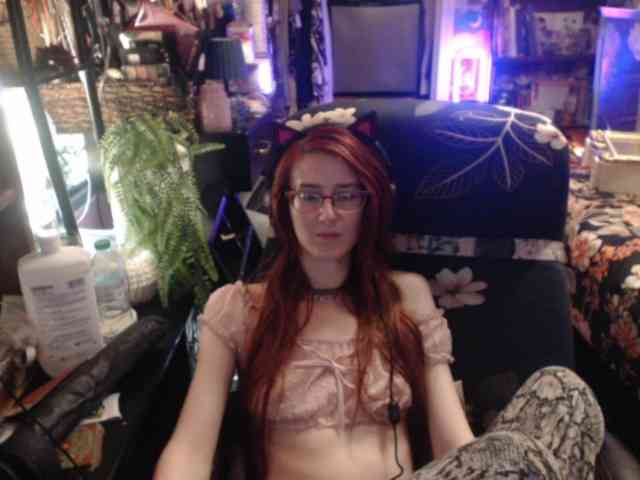 pussyxpaladin webcam