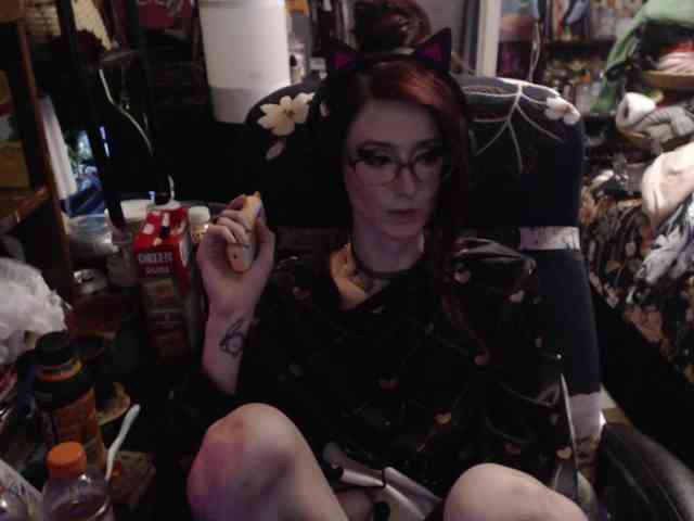 pussyxpaladin webcam