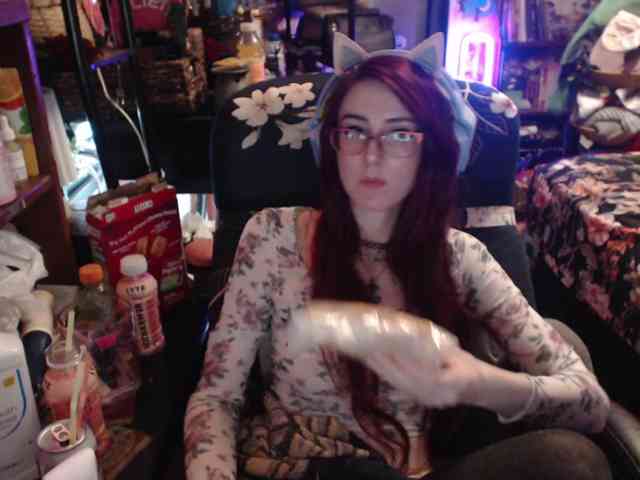 pussyxpaladin webcam