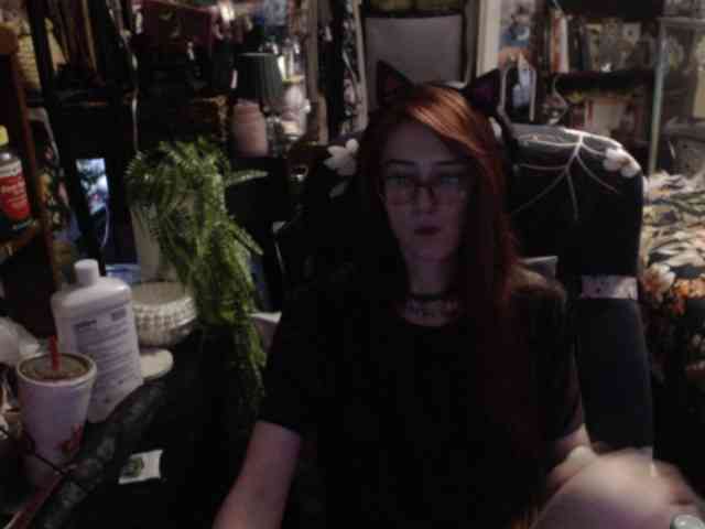 pussyxpaladin webcam