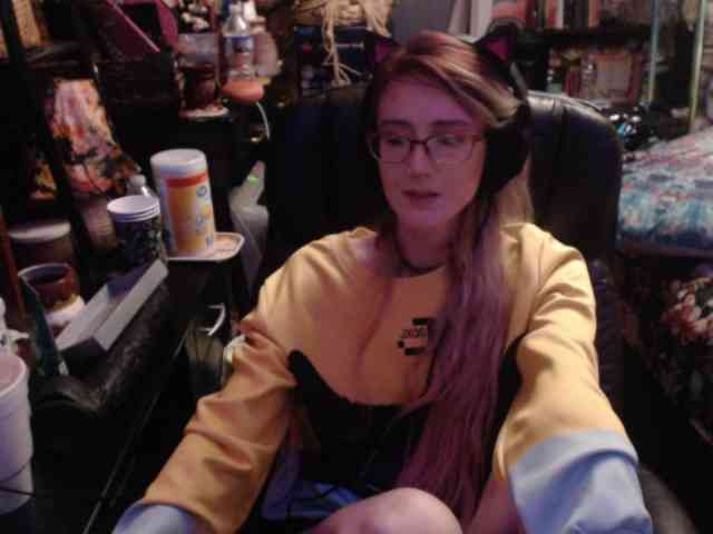 pussyxpaladin