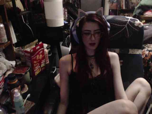 pussyxpaladin webcam