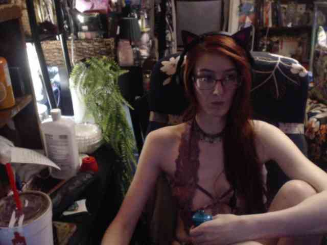 pussyxpaladin webcam