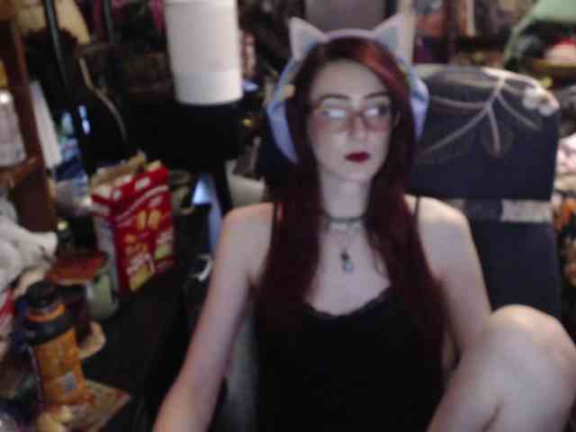 pussyxpaladin webcam