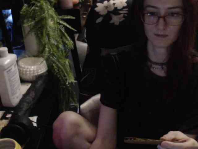 pussyxpaladin webcam