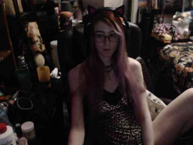 pussyxpaladin webcam
