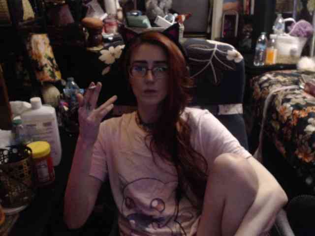 pussyxpaladin webcam