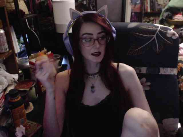 pussyxpaladin webcam
