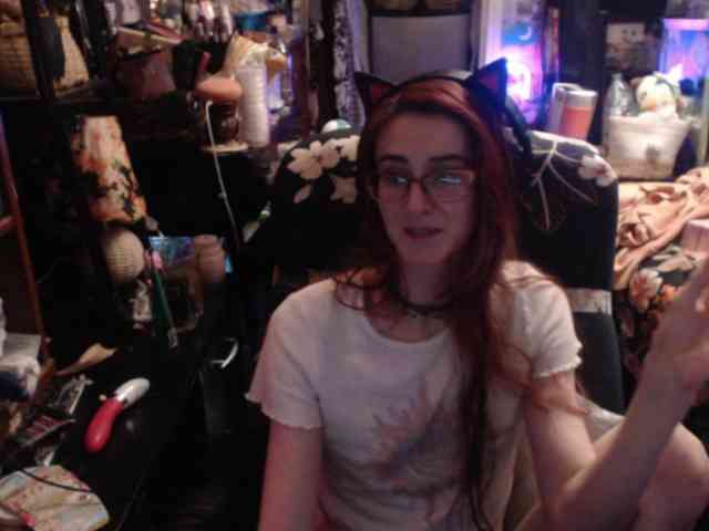 pussyxpaladin webcam