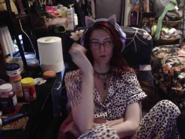 pussyxpaladin webcam