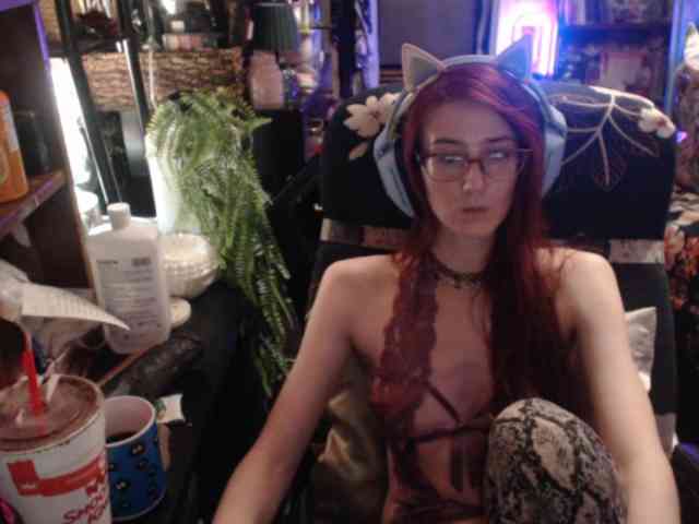 pussyxpaladin webcam